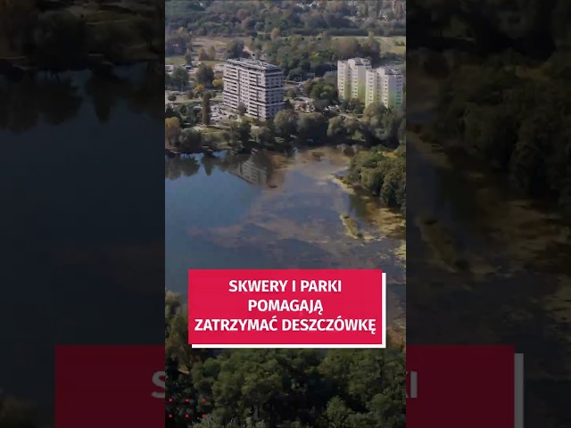 Wideo - Parki i skwery Wrocławia. Jak zatrzymują deszczówkę? #wroclaw #natura