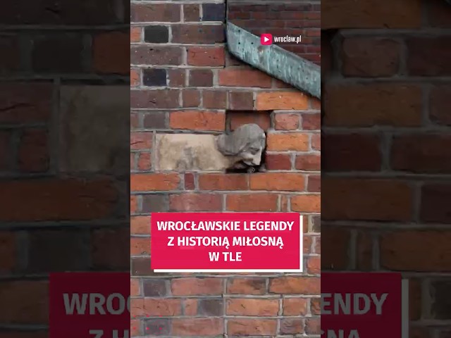 Wideo - Wroclawskie legendy z historia milosna w tle 1