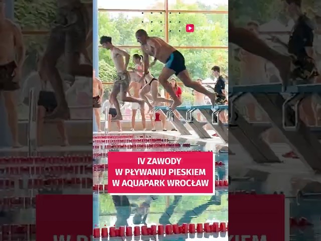 Wideo - Pływali pieskiem dla piesków ze schroniska #wroclaw