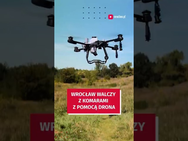 Wideo - Drony pomagają w walce z komarami. Wrocław używa ich, jako pierwsze miasto w Polsce #wroclaw