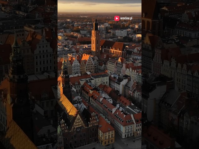 Wideo - Aglomeracyjna Karta Seniora! Dla kogo i jak to działa?  #wroclaw