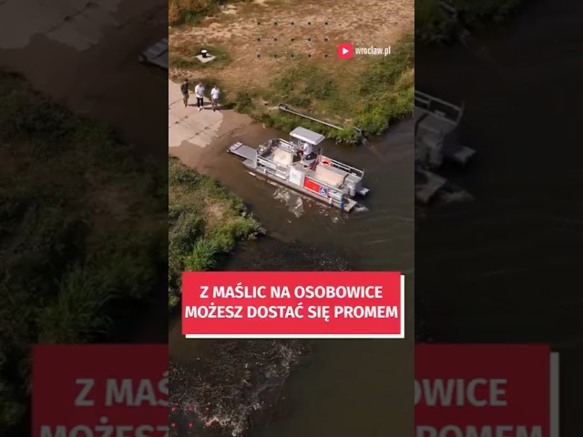 Wideo - Prom we Wrocławiu? Jasne, że tak! W dodatku w ten weekend za darmo #wroclaw