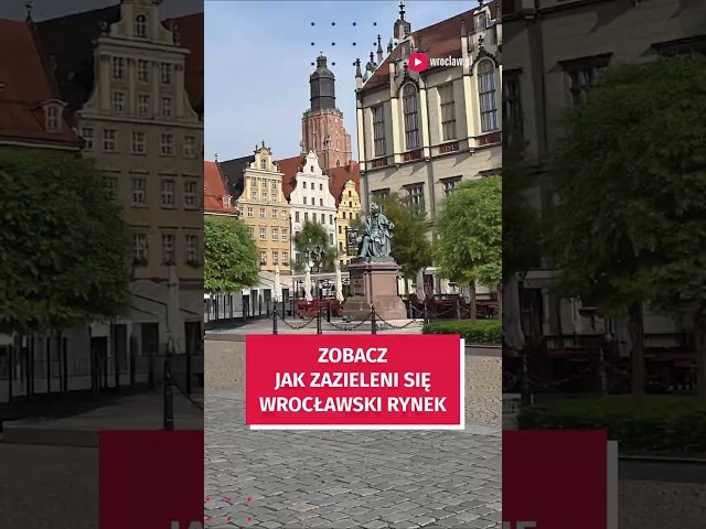 Wideo - Zobacz jak zmieni się Rynek! Będzie dużo zieleni i nowych nasadzeń #wroclaw