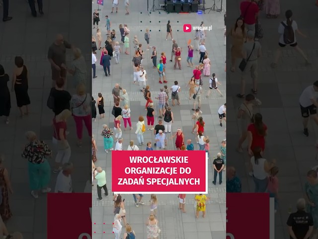 Wideo - Zobacz czym zajmują się i jak działają wrocławskie NGOsy! #wroclaw