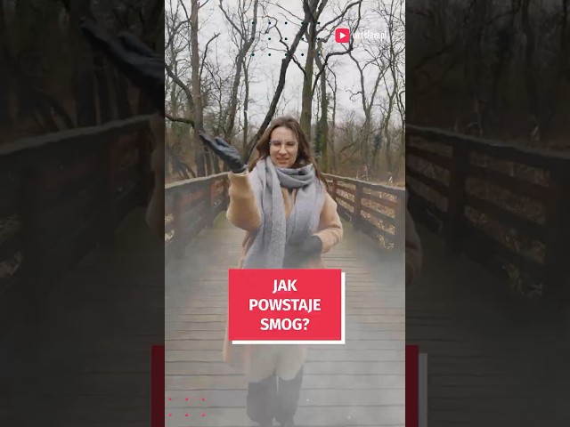 Wideo - Co jest źródłem smogu we Wrocławiu i jak walczy z nim miasto?  #wroclaw