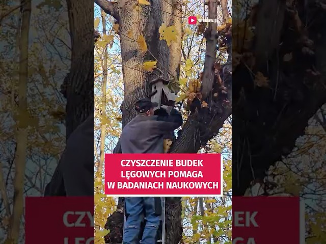 Wideo - Budki lęgowe czekają na nowych lokatorów! A w międzyczasie pomagają w badaniach naukowych #wroclaw