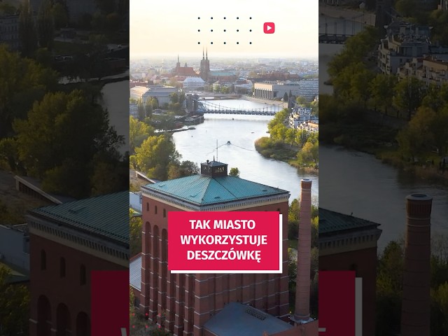 Wideo - Czy wiesz, co miasto robi z deszczówką i jak ją wykorzystuje? #wroclaw #deszcz