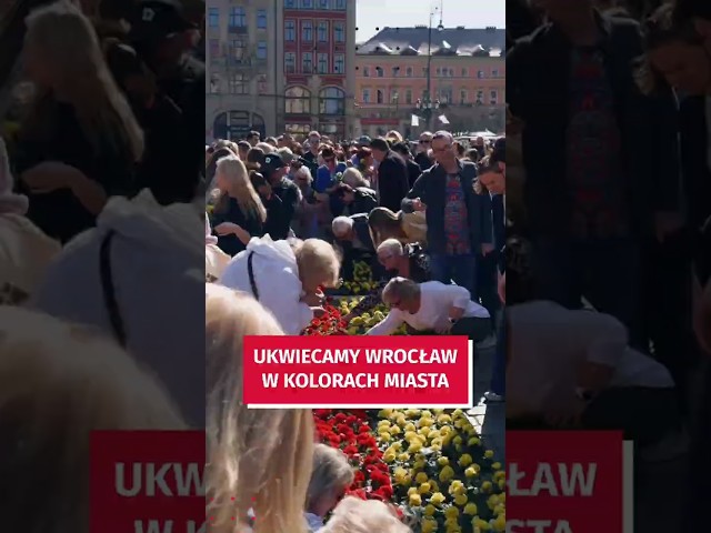 Wideo - Ukwiecaj Wrocław i zgarniaj nagrody.  Konkurs dla mieszkańców i restauratorów #wroclaw