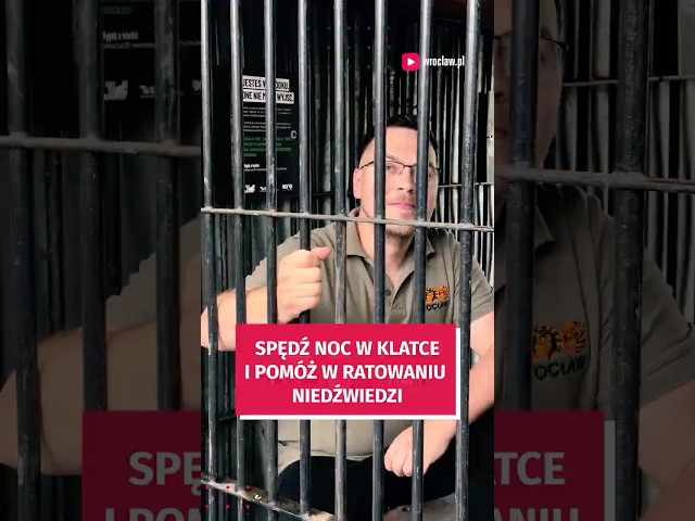 Wideo - Noc w klatce. Poczuj to na własnej skórze i pomóż w ratowaniu niedźwiedzi #wroclaw