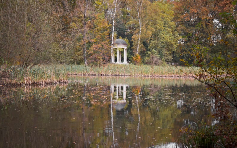 Widok na staw w Parku Pawłowickim (sąsiaduje on z Lasem Zakrzowskim)