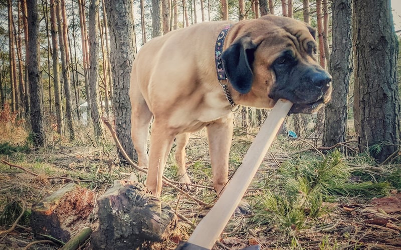 Totalny czub nad czuby, ale przede wszystkim... i On to wie!