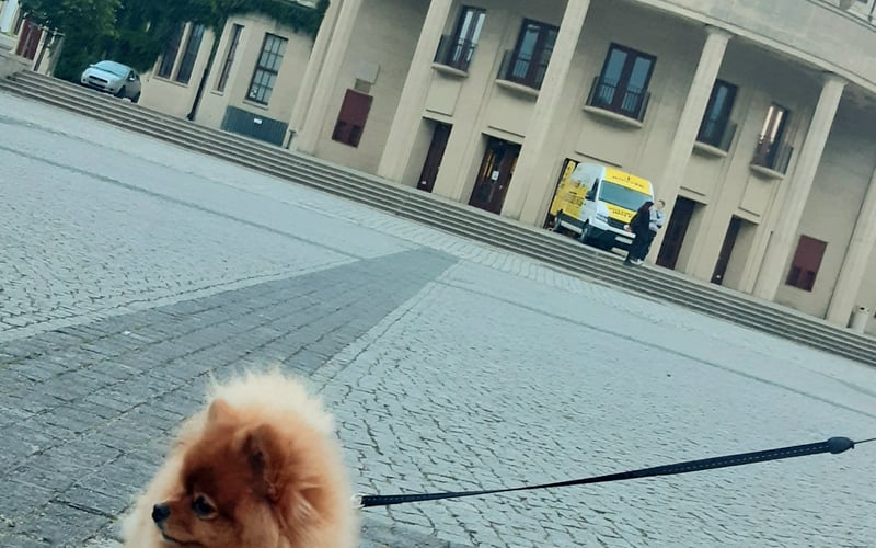 Duza hala imała Bella.