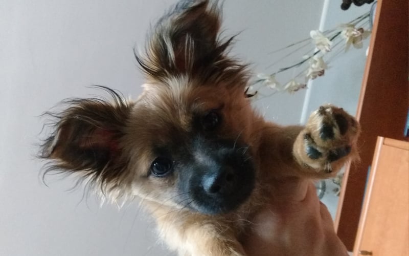 i believe i can fly