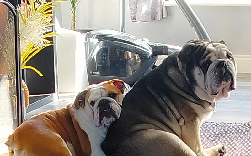 Double love from Wroclove 