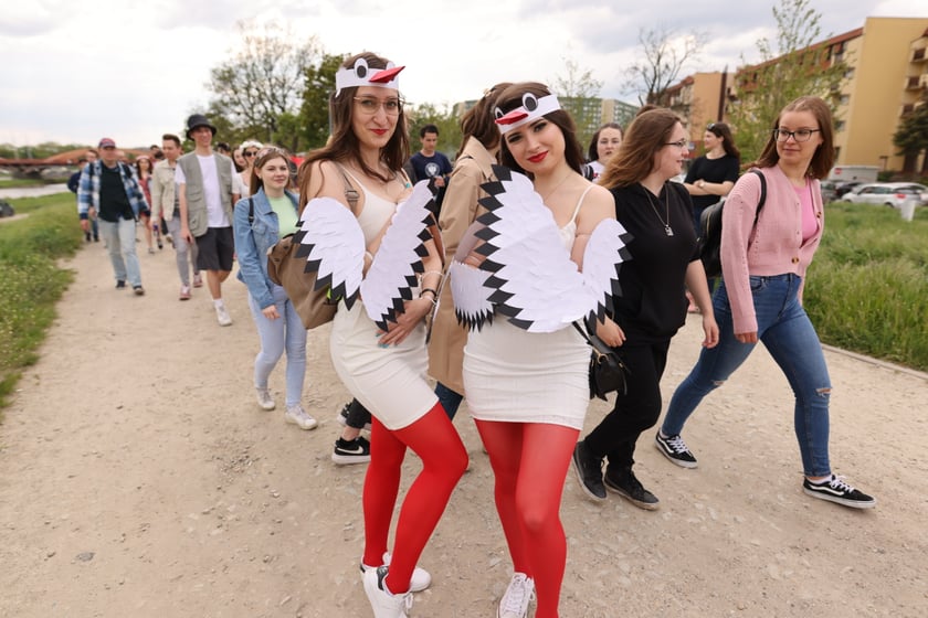 Juwenalia 2023 we Wrocławiu. Na zdjęciu studenci