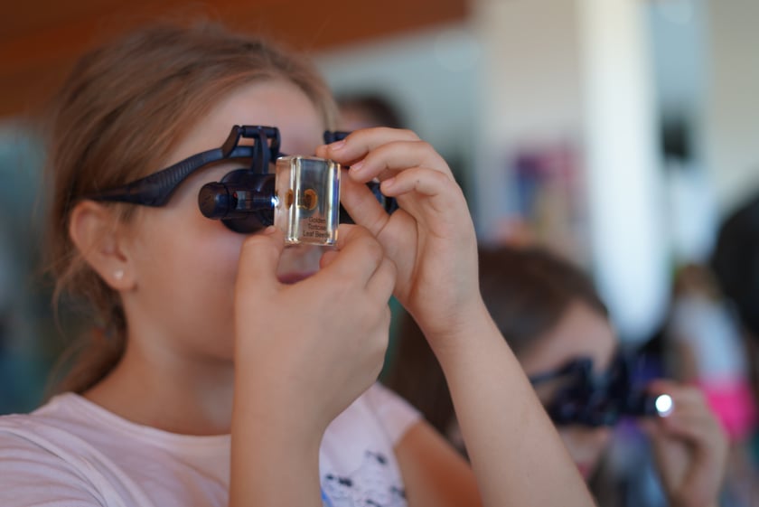 Galeria zdjęć z pierwszego dnia Dolnośląskiego Festiwalu Nauki 2023 we Wrocławiu