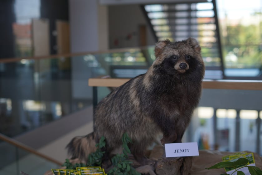 Galeria zdjęć z pierwszego dnia Dolnośląskiego Festiwalu Nauki 2023 we Wrocławiu