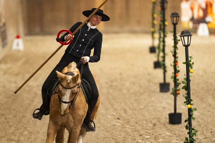Powiększ obraz: Zawody Working Equitation