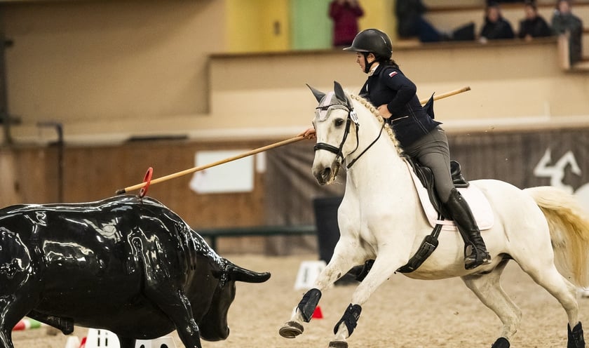 Powiększ obraz: Zawody Working Equitation