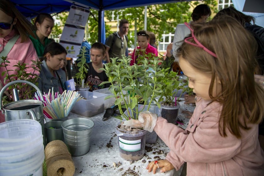 Dzień Odry 2022 Bulwar Dunikowskiego Wrocław