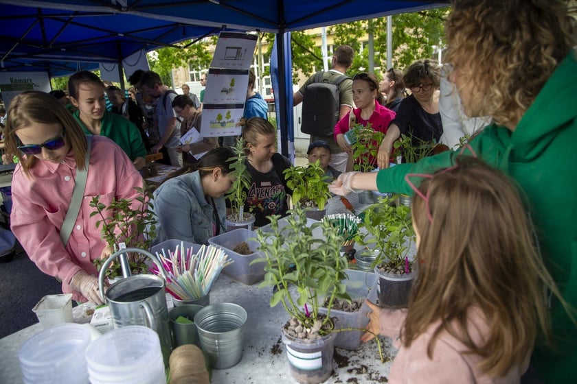 Dzień Odry 2022 Bulwar Dunikowskiego Wrocław