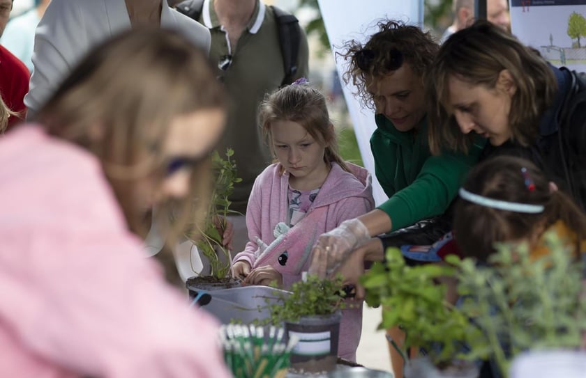 Dzień Odry 2022 Bulwar Dunikowskiego Wrocław