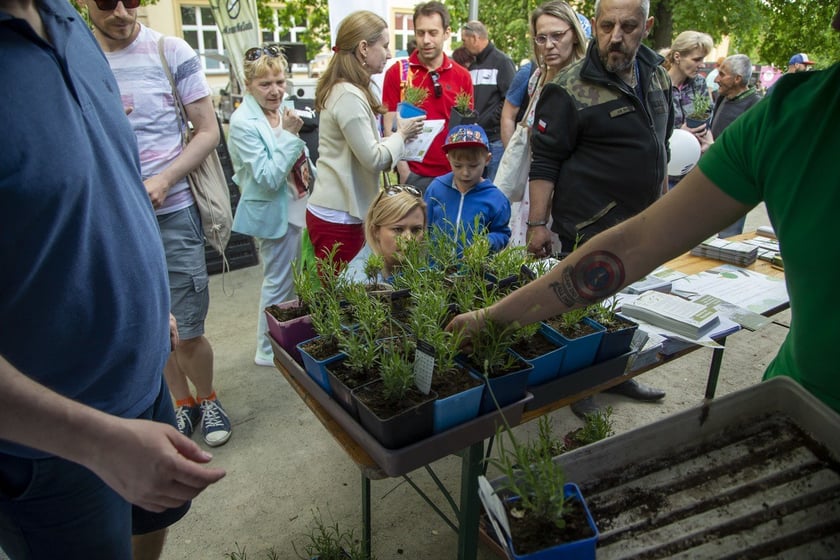 Dzień Odry 2022 Bulwar Dunikowskiego Wrocław