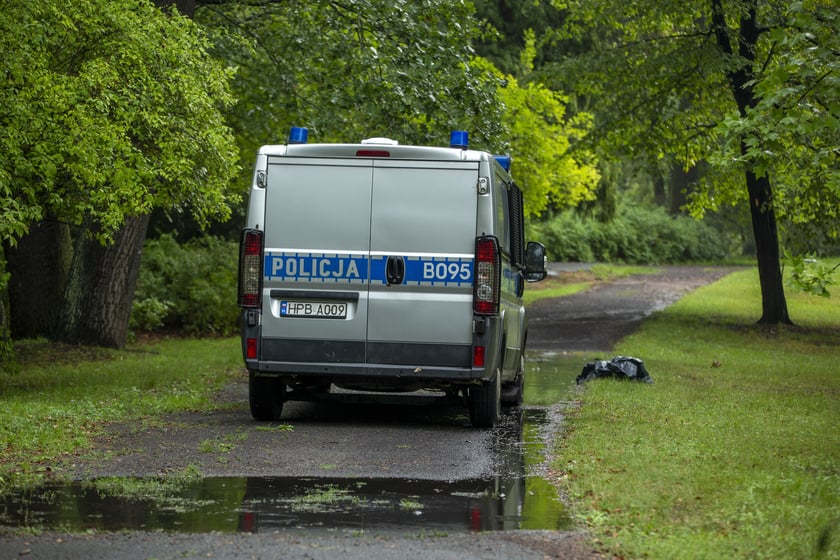 Katastrofa ekologiczna w parku Szczytnickim. Nie żyje mnóstwo ryb