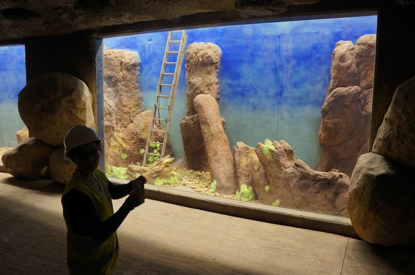 Budowa i otwarcie Afrykarium
