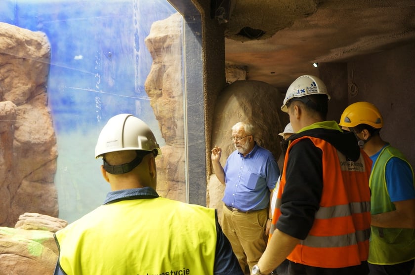 Budowa i otwarcie Afrykarium