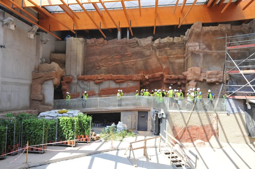 Budowa i otwarcie Afrykarium