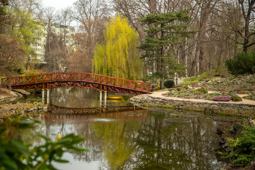 Ogród Botaniczny Uniwersytetu Wrocławskiego