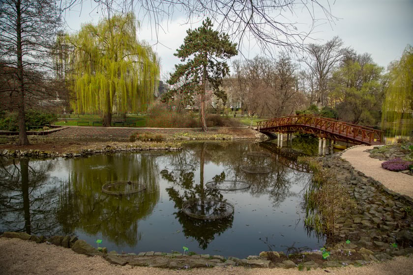Ogród Botaniczny Uniwersytetu Wrocławskiego