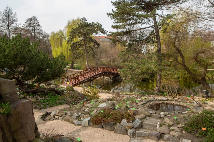 Ogród Botaniczny Uniwersytetu Wrocławskiego