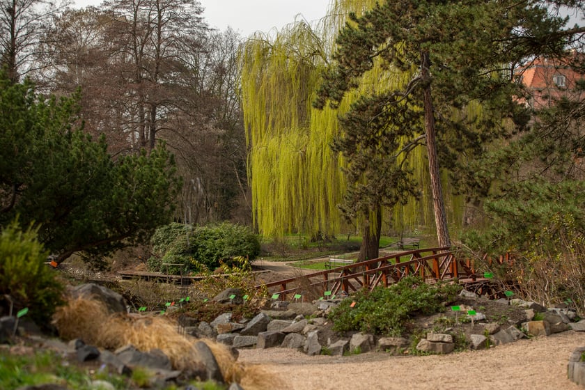 Ogród Botaniczny Uniwersytetu Wrocławskiego