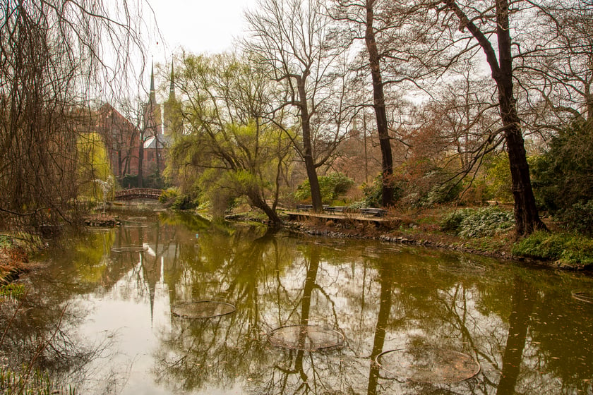 Ogród Botaniczny Uniwersytetu Wrocławskiego