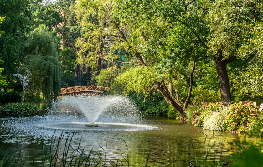 Ogród Botaniczny Uniwersytetu Wrocławskiego