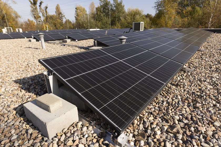 Zdjęcie z uroczystego otwarcia żłobka nr 17 przy ul. Sołtysowickiej we Wrocławiu