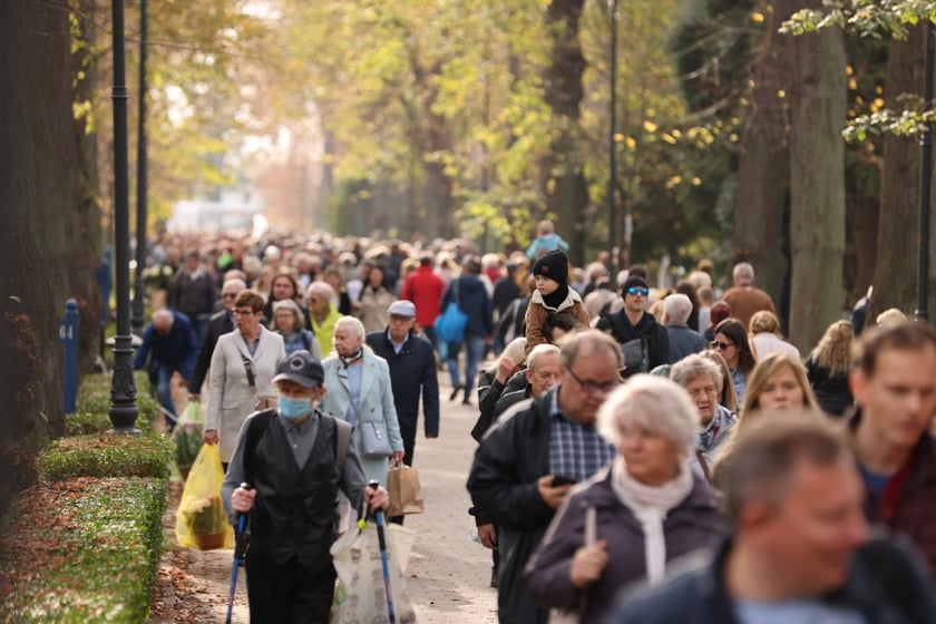 Cmentarz Osobowicki we Wrocławiu Wszystkich Świętych 2022