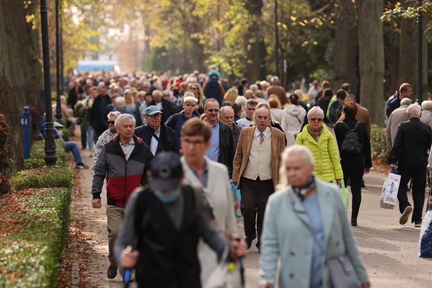 Cmentarz Osobowicki we Wrocławiu Wszystkich Świętych 2022