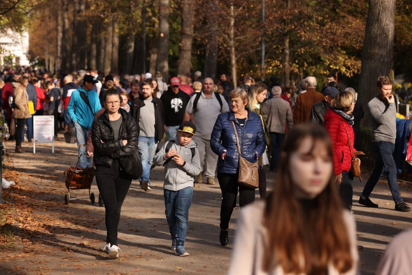 Cmentarz Osobowicki we Wrocławiu Wszystkich Świętych 2022