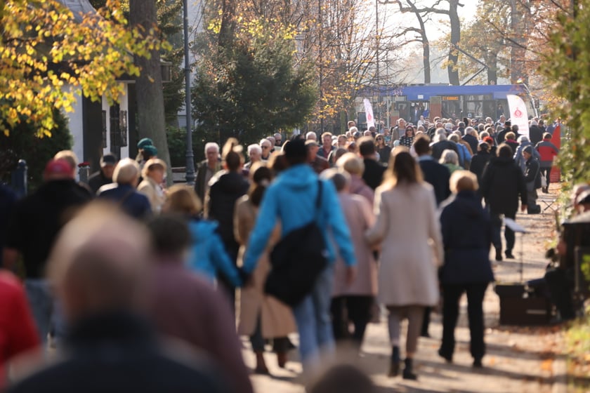 Cmentarz Osobowicki we Wrocławiu Wszystkich Świętych 2022