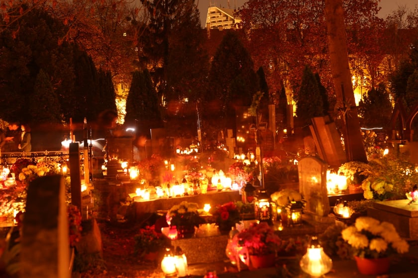 Cmentarz przy ul. Bujwida we Wrocławiu 1 listopada 2022 roku