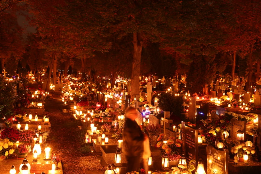 Cmentarz przy ul. Bujwida we Wrocławiu 1 listopada 2022 roku