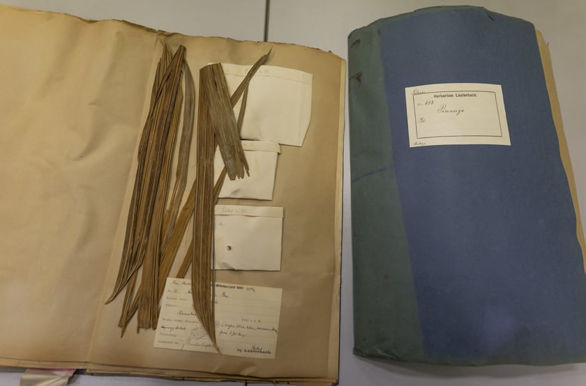 Herbarium. Muzeum Przyrodniczego Uniwersytetu Wrocławskiego