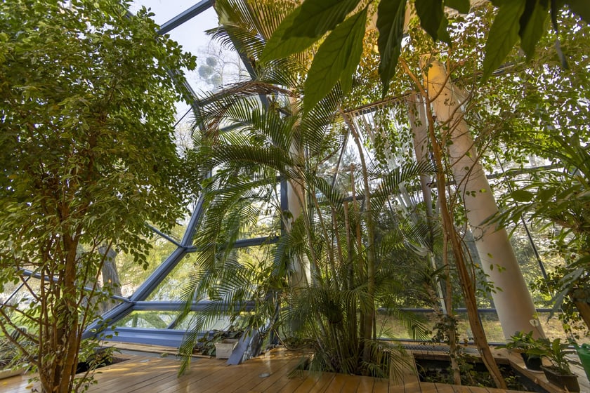 Herbarium. Muzeum Przyrodniczego Uniwersytetu Wrocławskiego