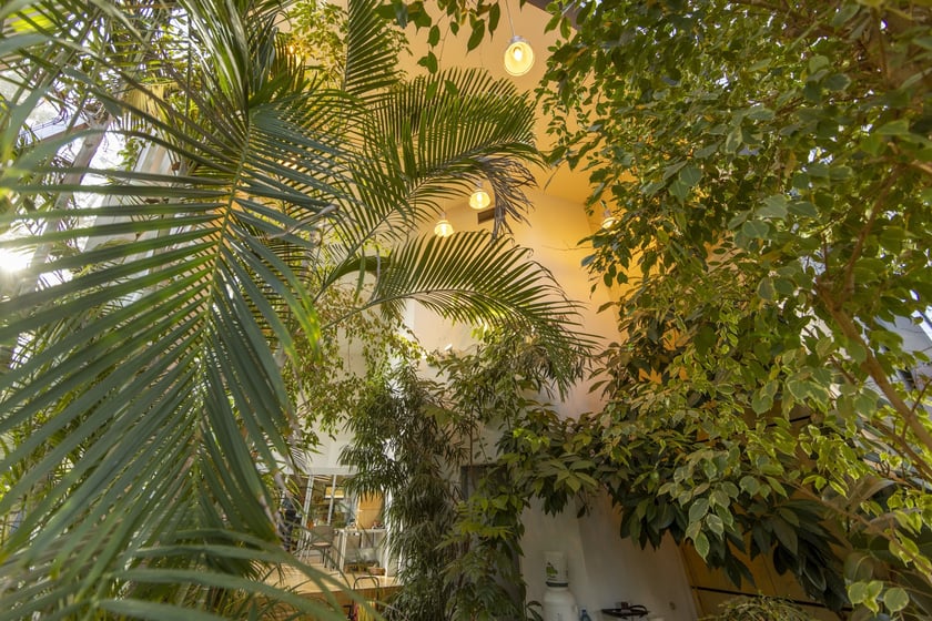 Herbarium. Muzeum Przyrodniczego Uniwersytetu Wrocławskiego