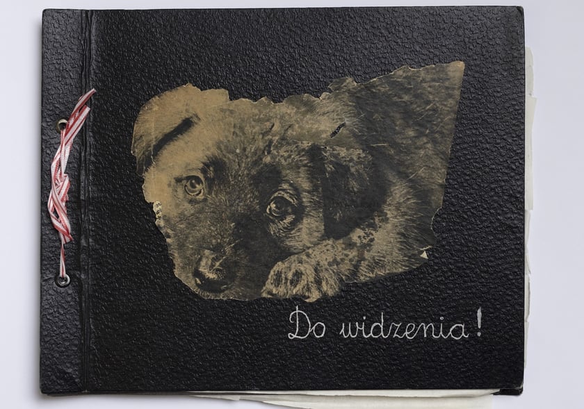 Zdjęcie z albumu przygotowanego przez wielbicielki Igora Przegrodzkiego. Okładka albumu
