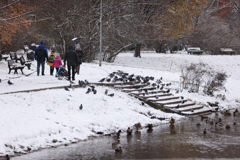 Zima zagościła we Wrocławiu. Właśnie spadł pierwszy śnieg...