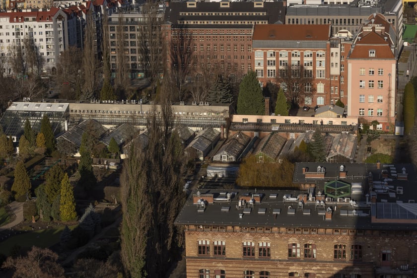 Na zdjęciu panorama Wrocławia widziana z tarasu na wieży katedry na Ostrowie Tumskim